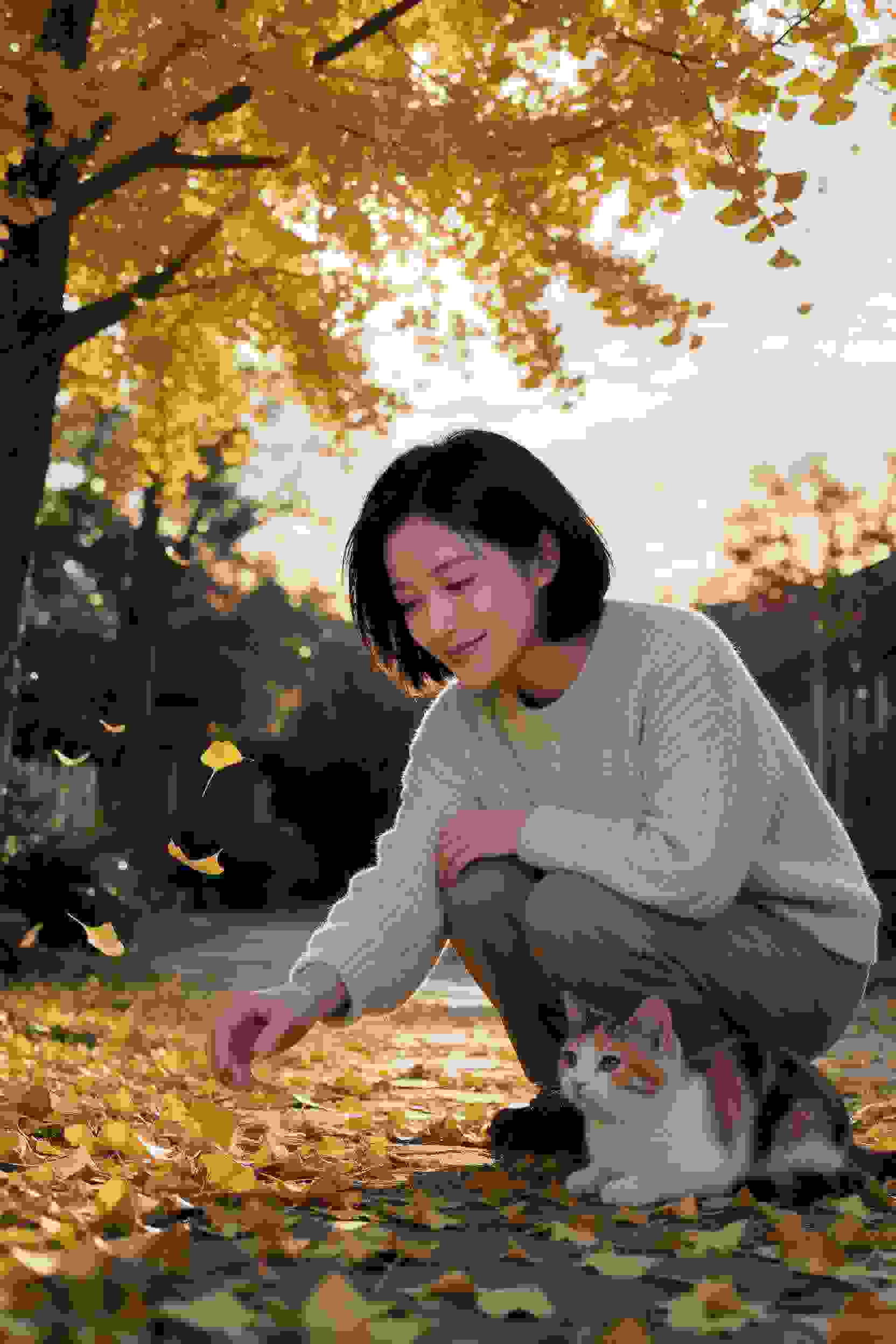 短剧5